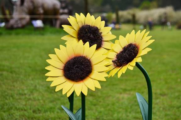Cancer Trust to Create Sunflower Range