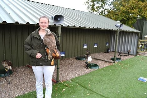 Forge Falconry Work Experience