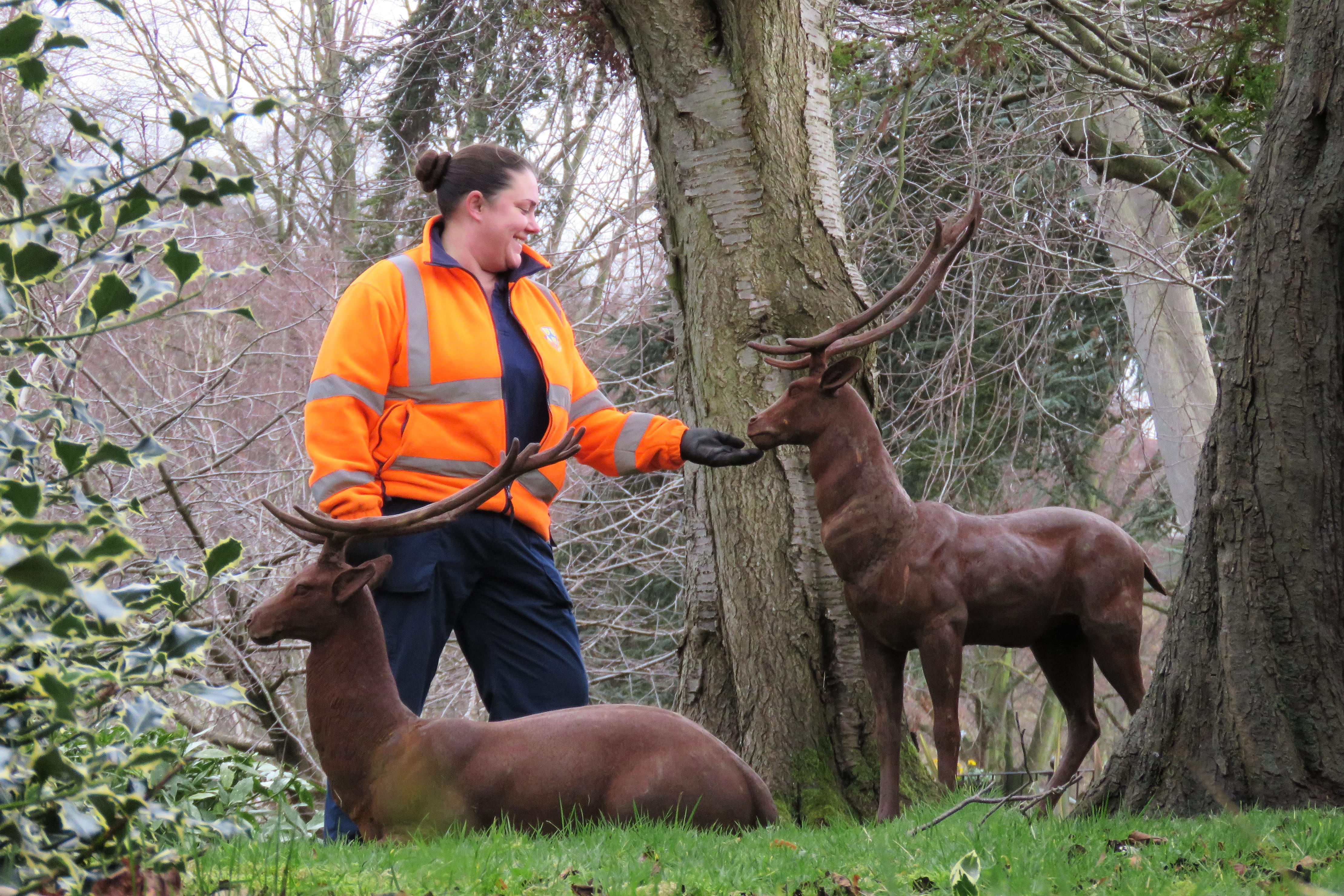 A Doe, A Deer, and an Important Reminder of Natural Conservation 