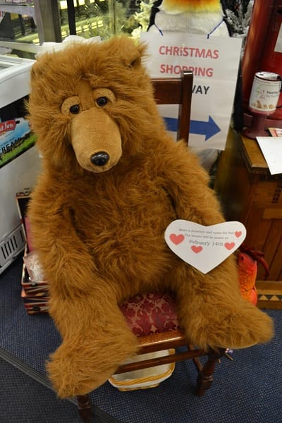 Guess the name of the bear!