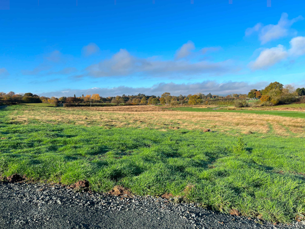 Visit Our New Wetland Reserve!