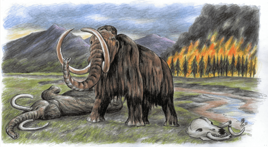 The “Shropshire Woolly Mammoth” Sculpture