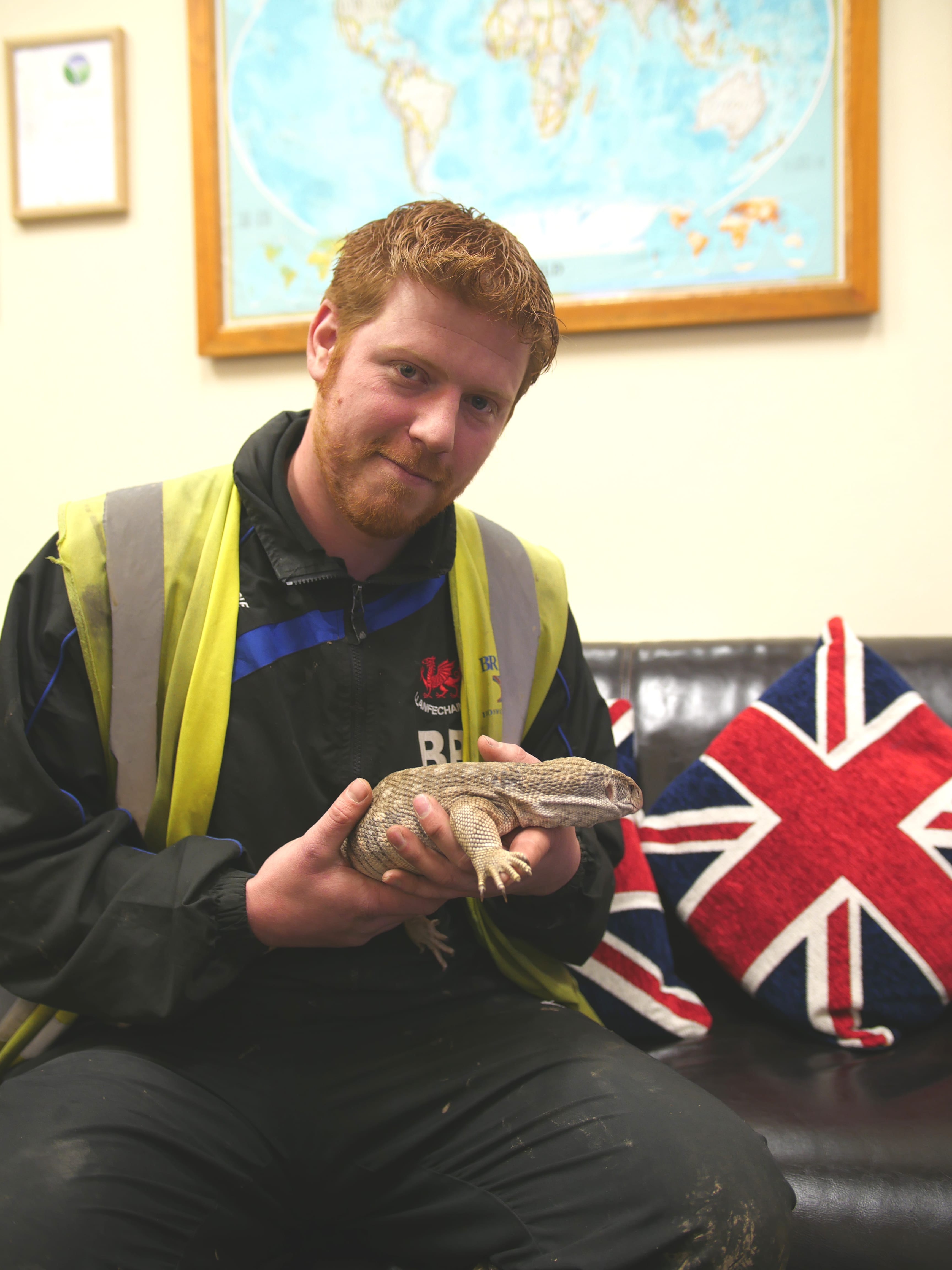 Ironworks staff meet Rex the monitor lizard