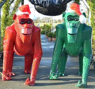 Welshpool Winter Festival
