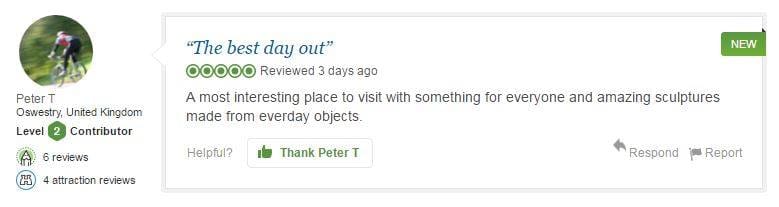 500th review on trip adviser