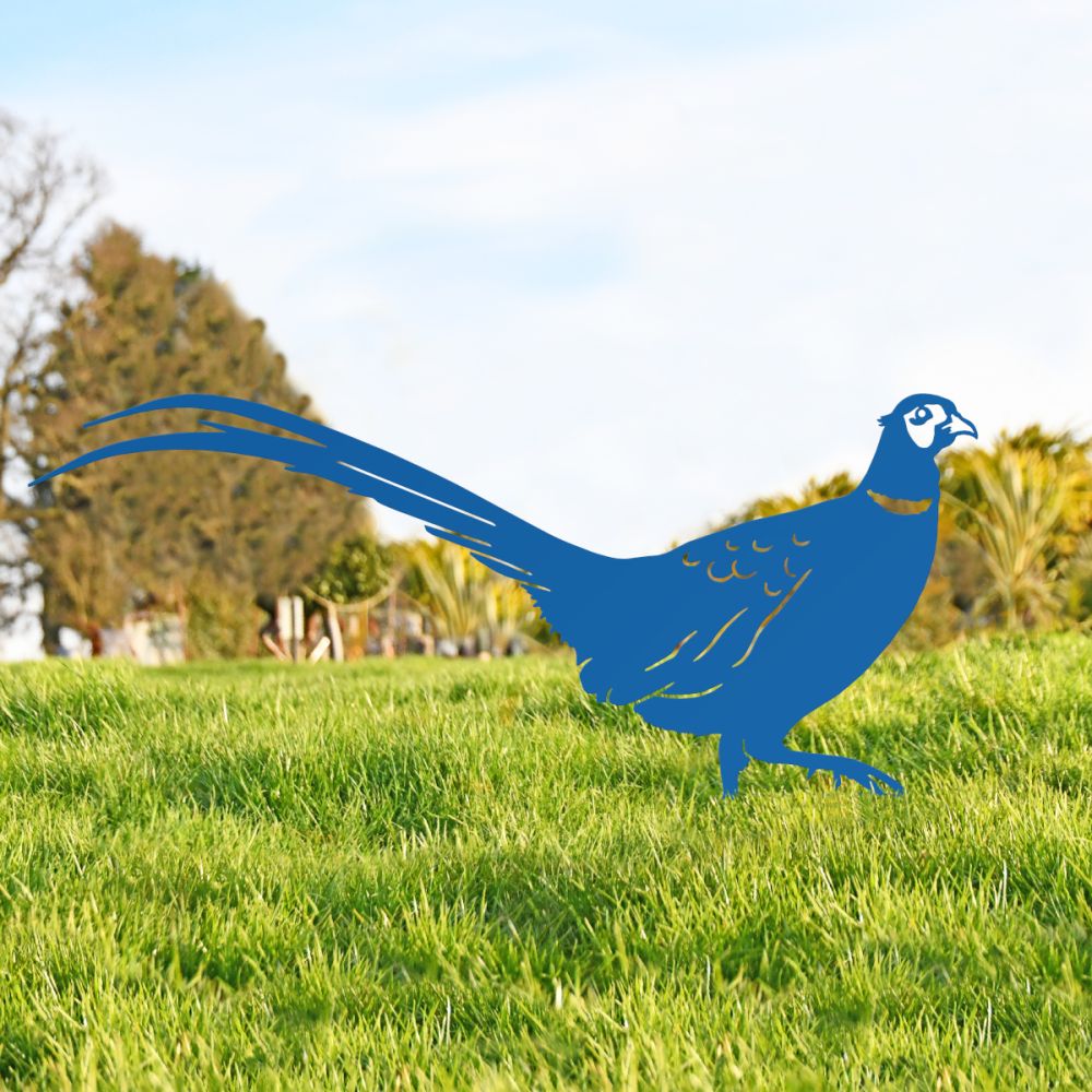 Blue Ring-necked Pheasant Silhouette