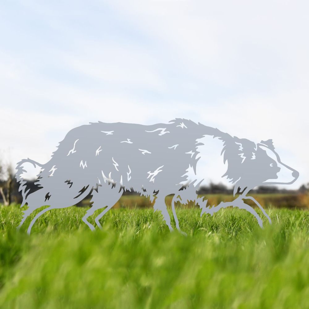 Silver Border Collie Iron Silhouette