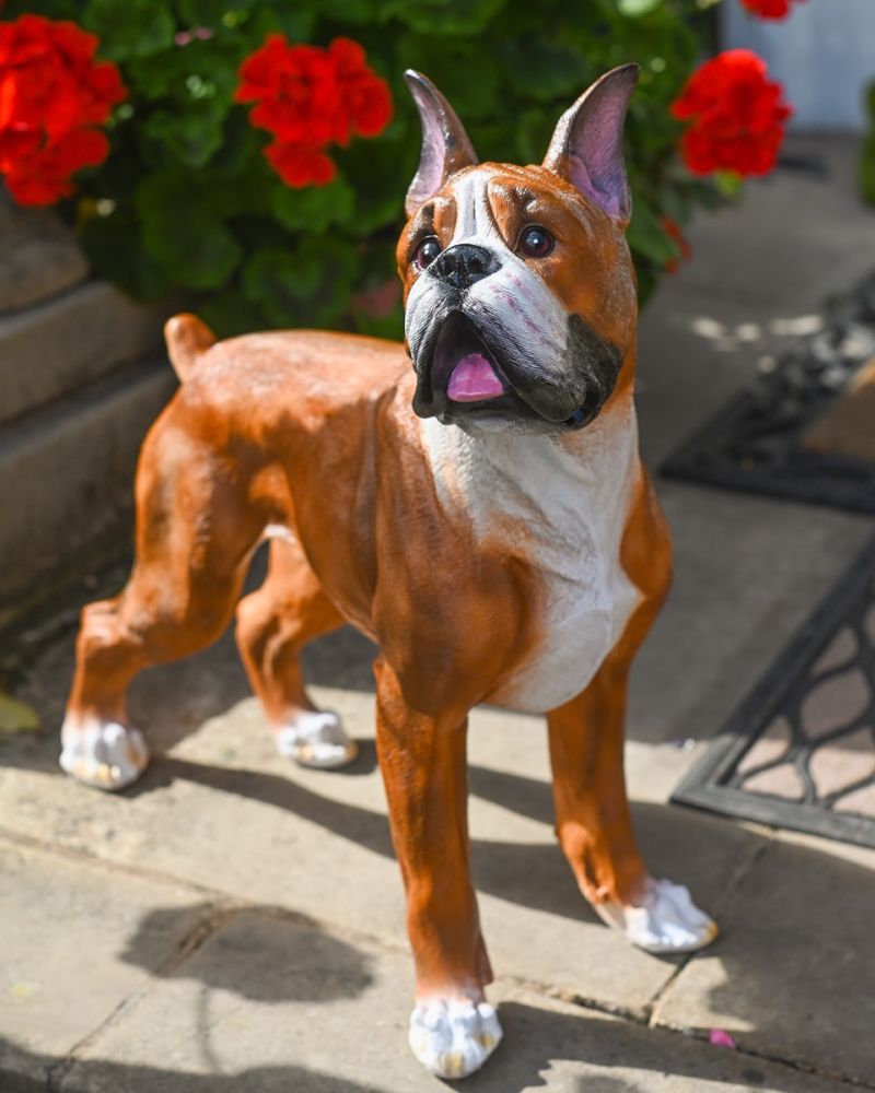 'Champ' The Fibreglass Boxer Dog Garden Sculpture