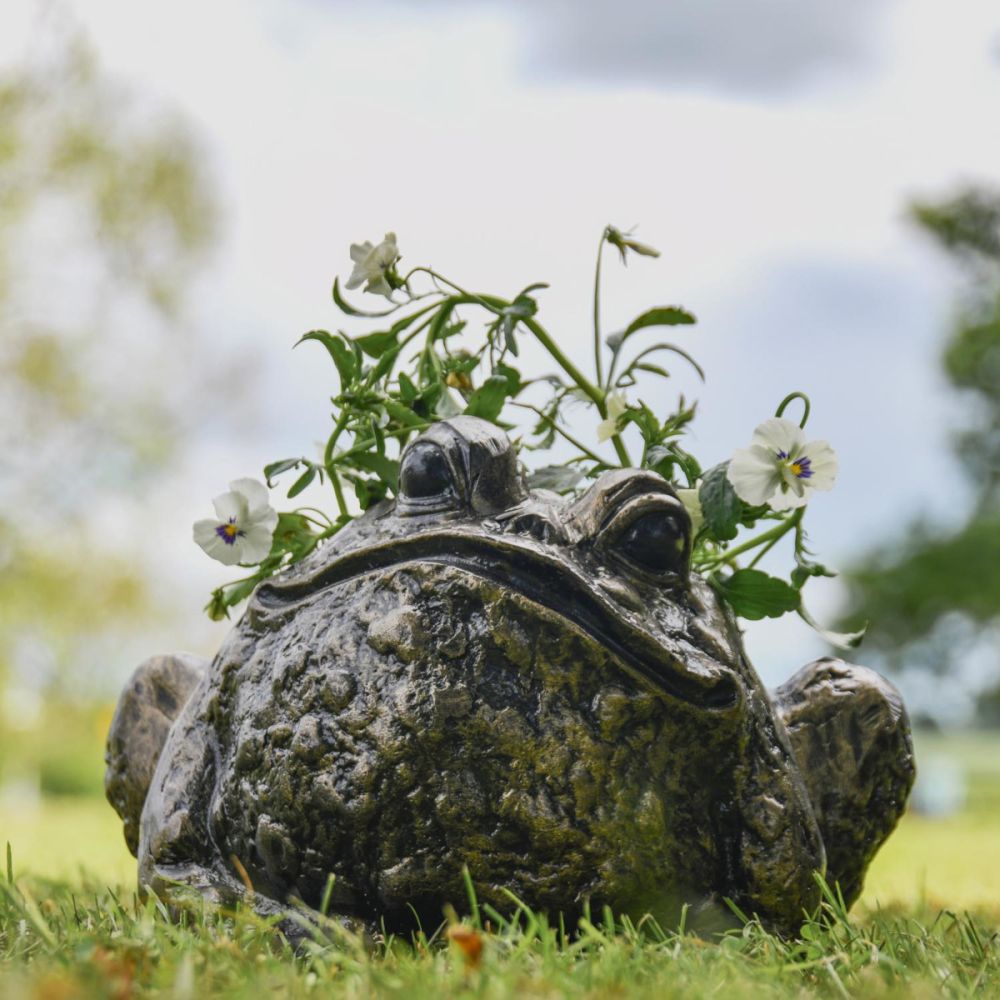 Decorative 'Jeremy' Bullfrog Garden Planter