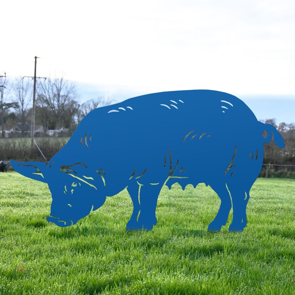 Blue Female Pig Iron Silhouette