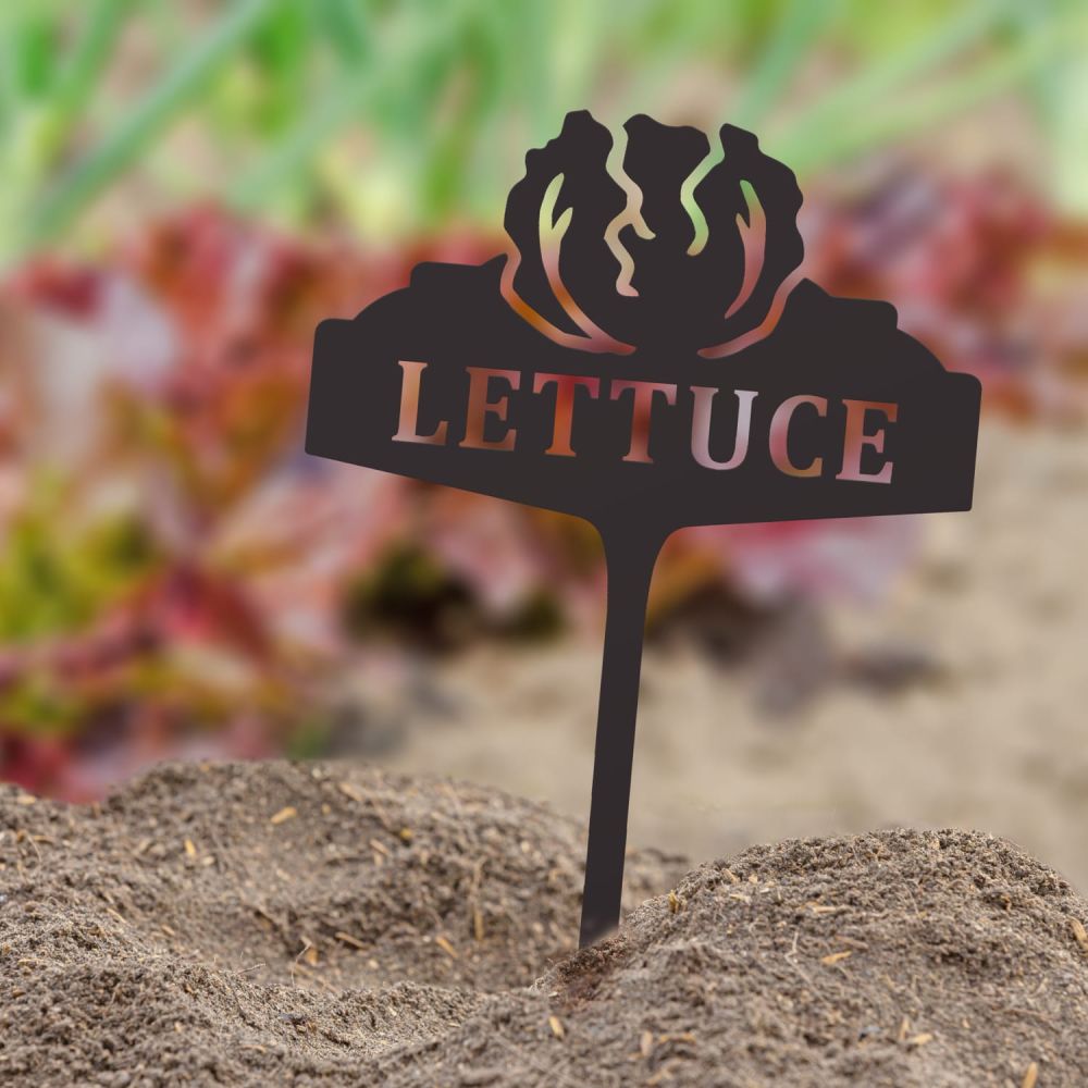 Vegetable Sign - Lettuce