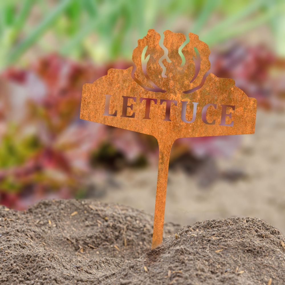 Rustic Vegetable Sign - Lettuce