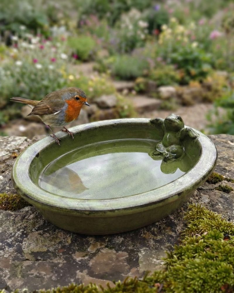 'Lilypad Lounge' Ceramic Bird Bath