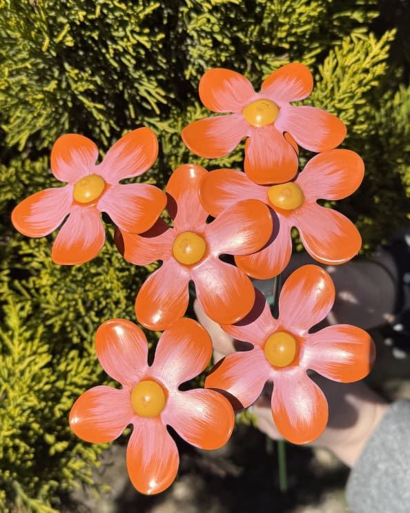 Orange Mini Steel Forget Me Not - Set Of Six