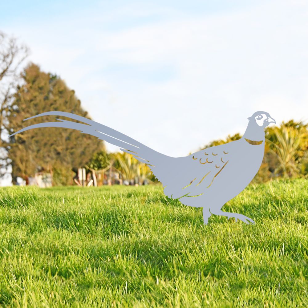 Silver Ring-necked Pheasant Silhouette