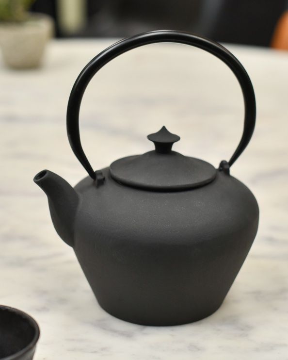 Simplistic 'Shiga' Cast Iron Japanese Teapot