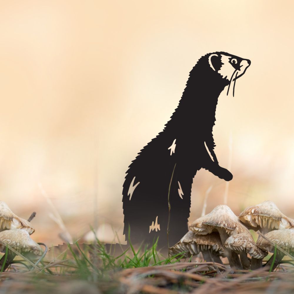 Standing Black Ferret Silhouette
