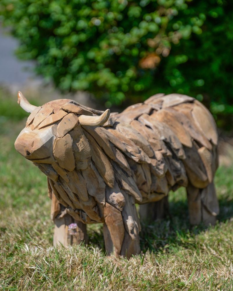 Teak Driftwood 'Sawyer' The Highland Cow Sculpture