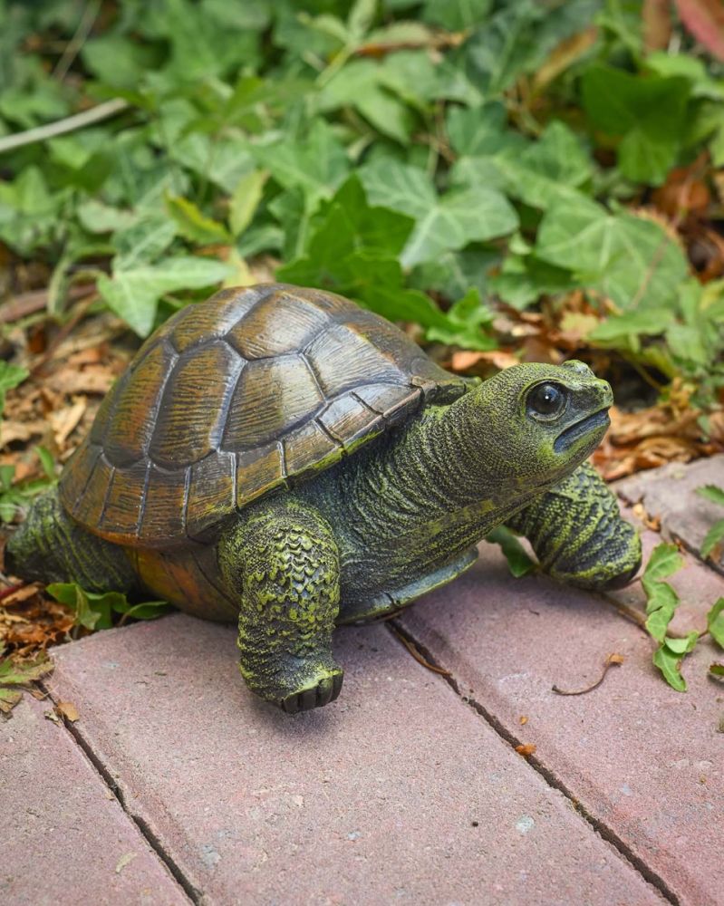 'Toby' The Fibreglass Tortoise Garden Sculpture - 20cm