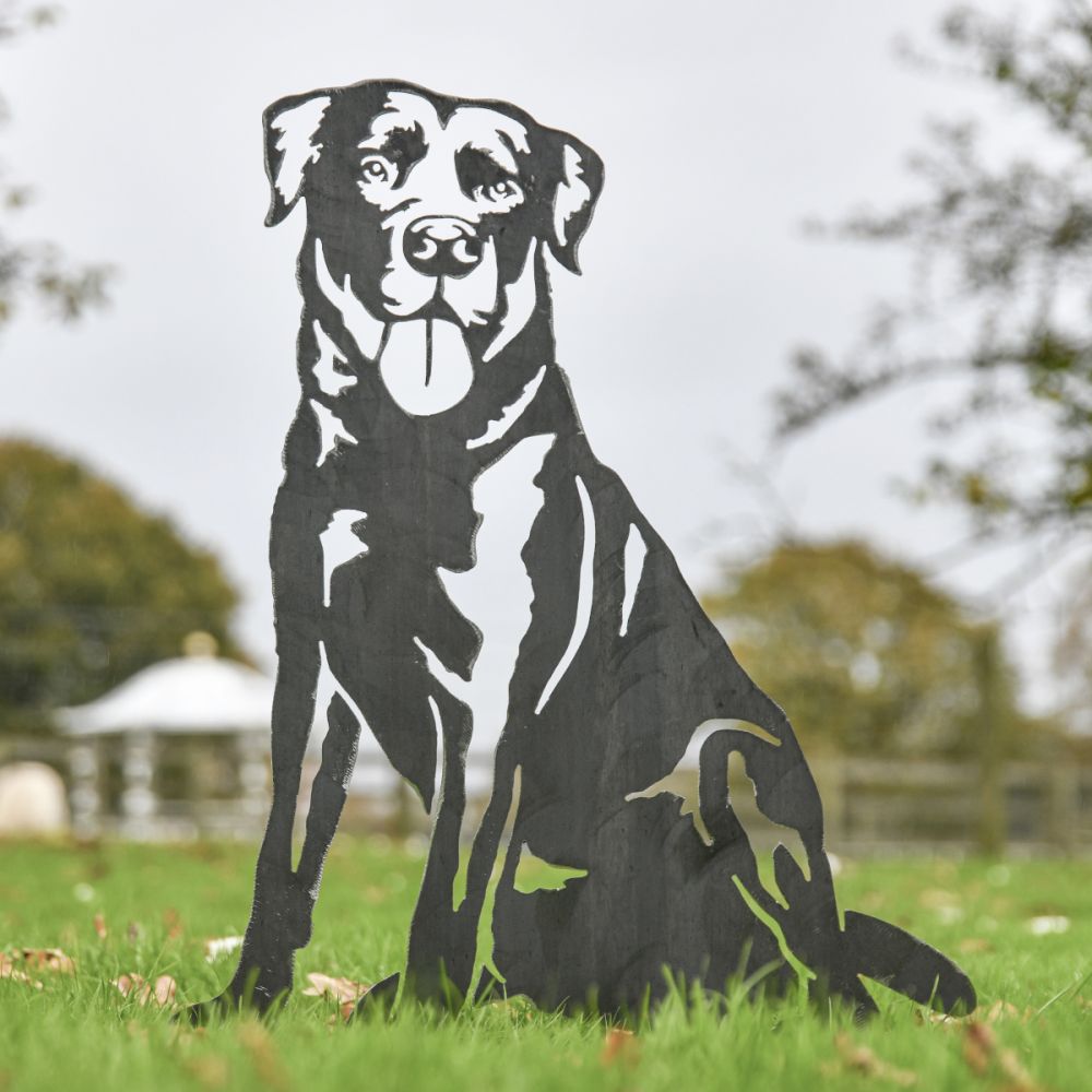 Unfinished Labrador Silhouette