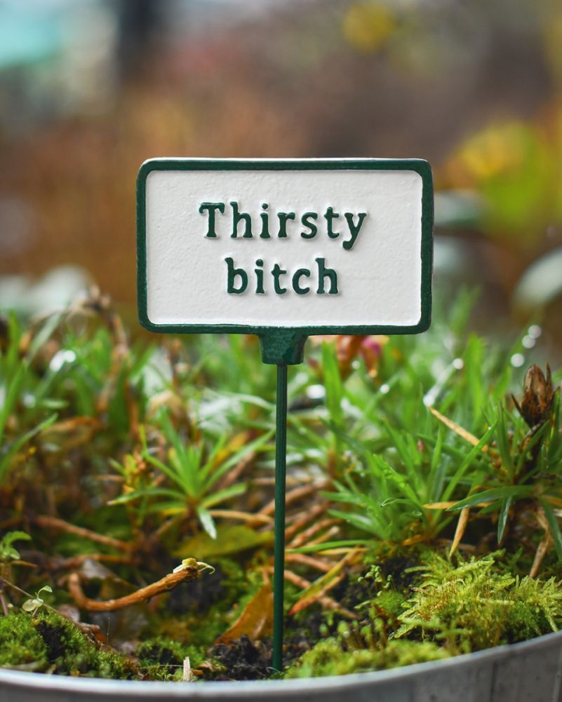 Cast Iron 'Thirsty Bitch' Humorous Plant Pot Spike