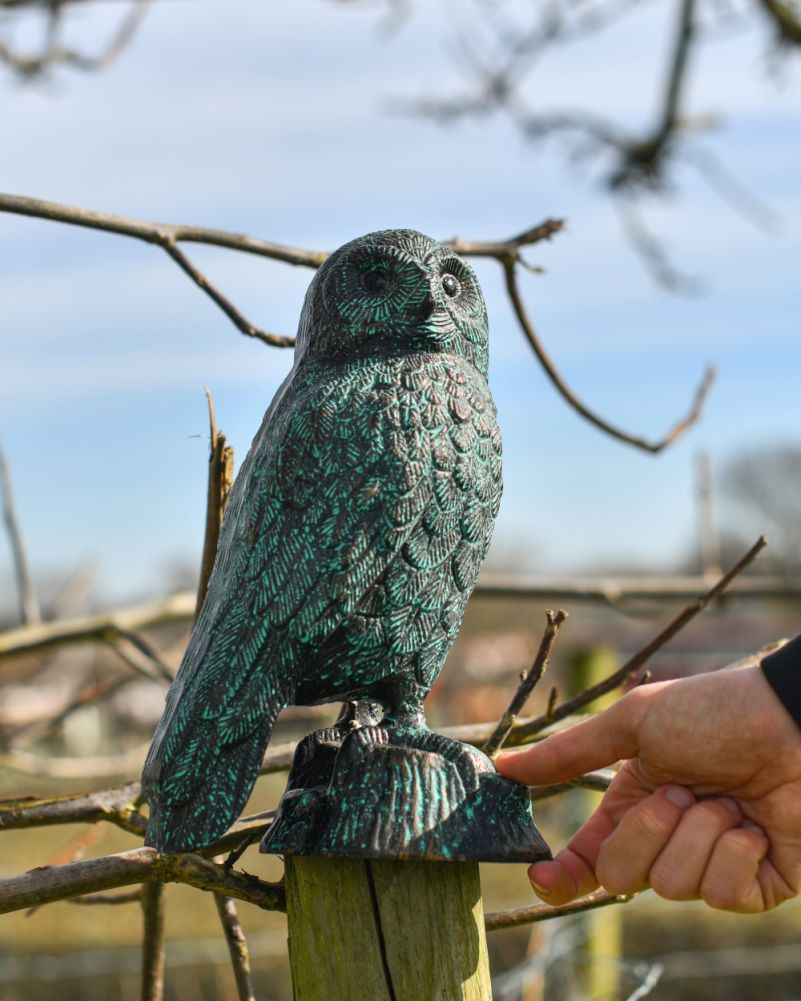 Scale Od The Cast Aluminium Verdigris Owl Sculpture 