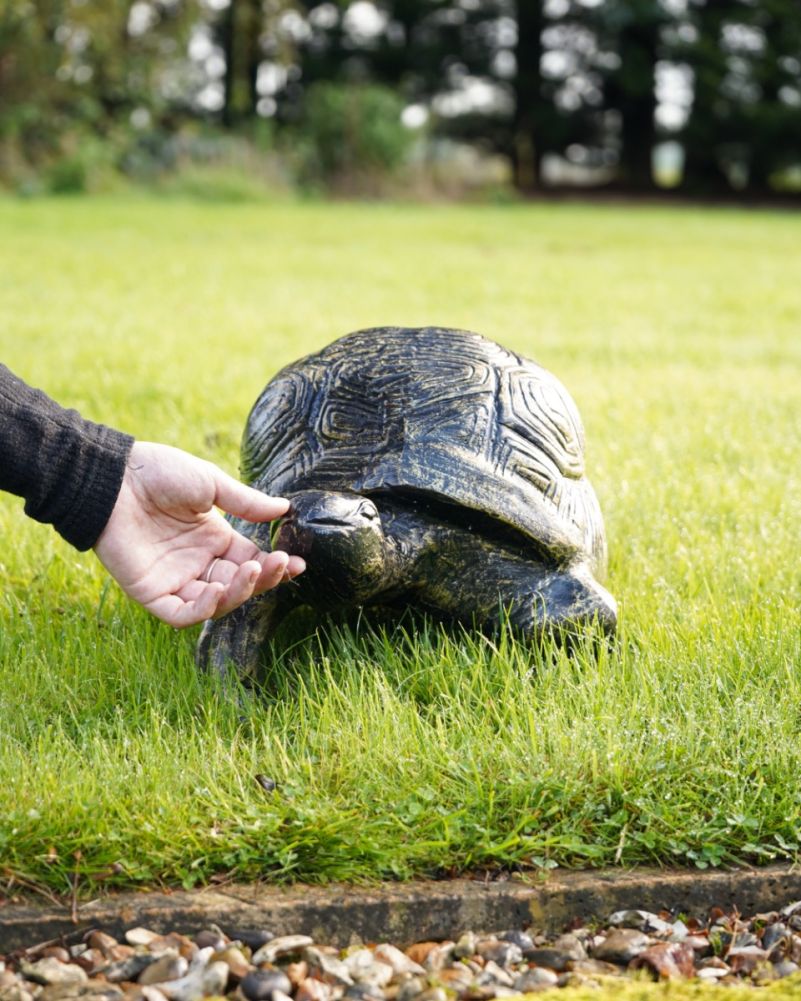Speedy The Black & Gold African Tortoise Aluminium Garden Sculpture Scale