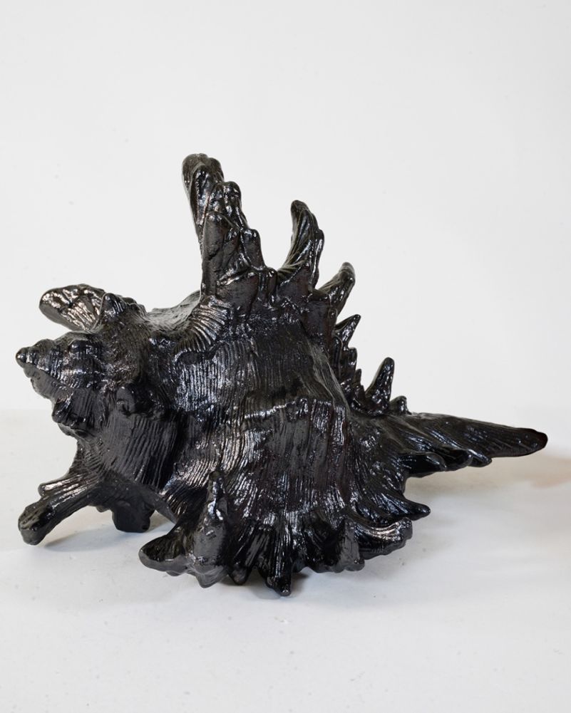 'Abyssal Spires' Shell Interior Ornament Black