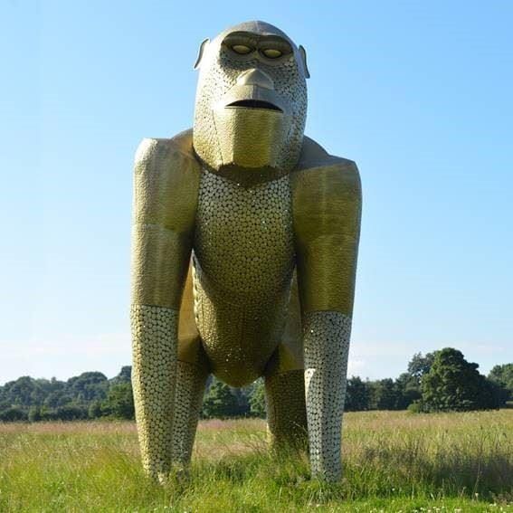 'King Greystoke' Stunning Silverback Gorilla Front