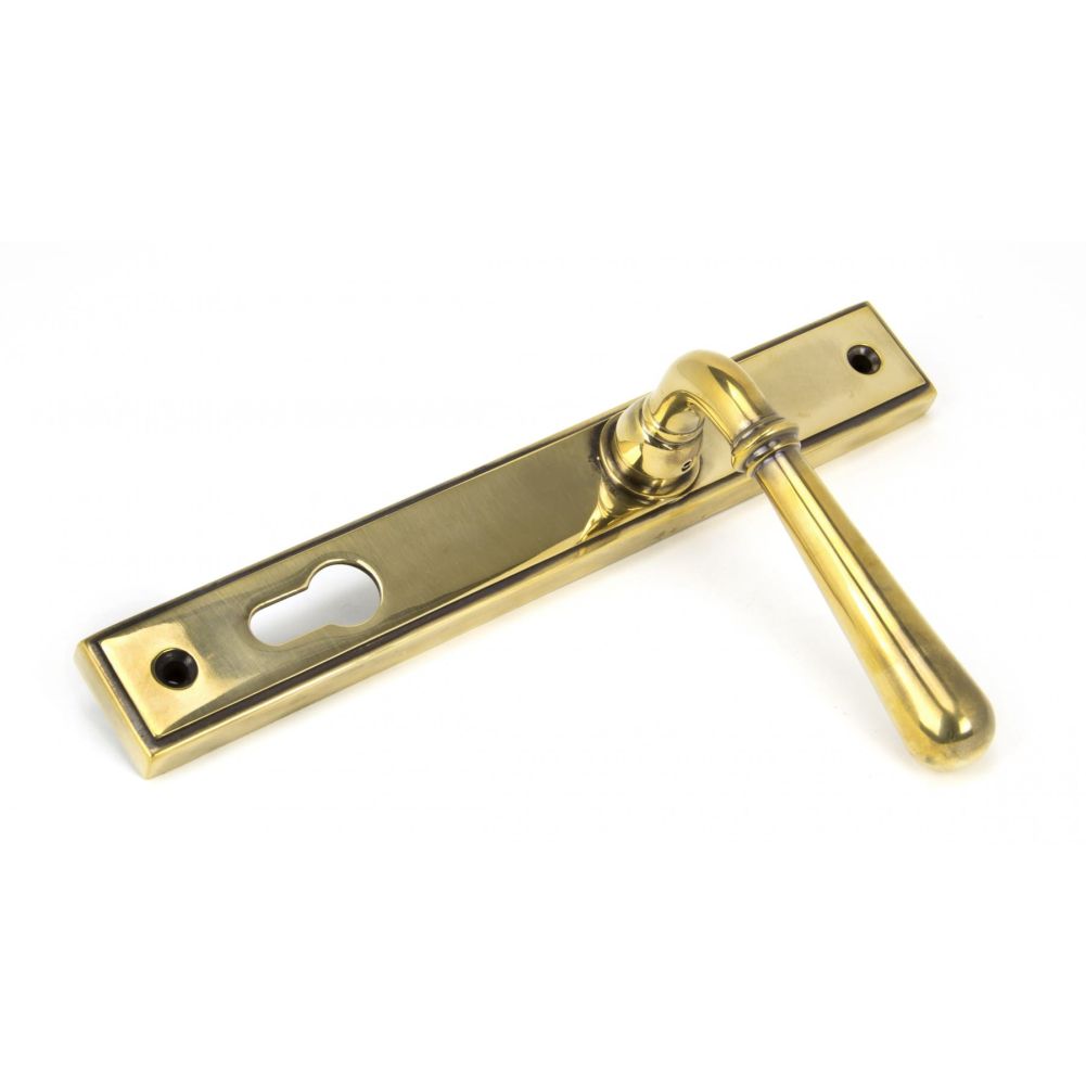 Antique Brass Slim Line Door Handle