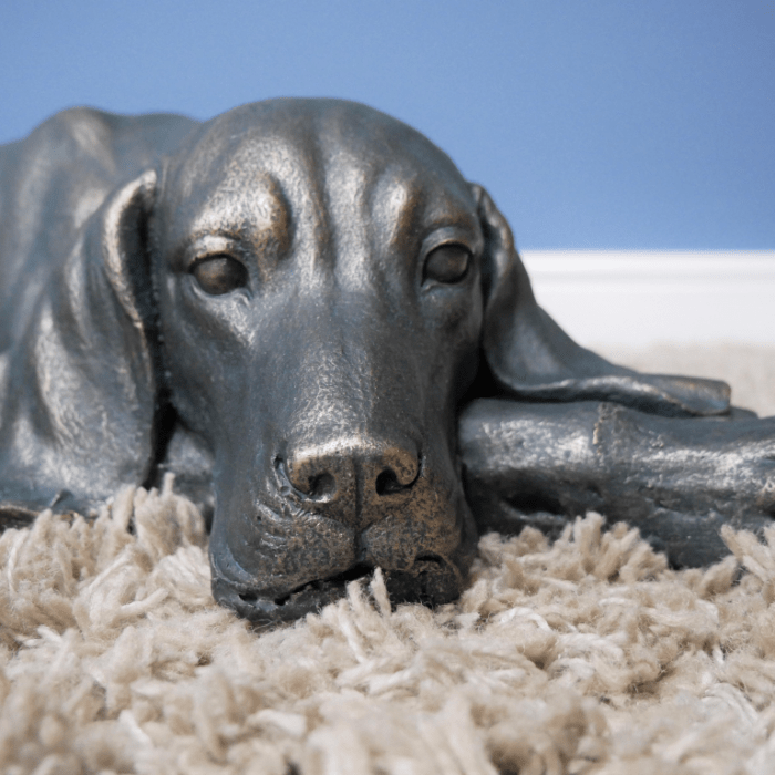 Antique Bronze Finish Laying Dog Sculpture Head Detail