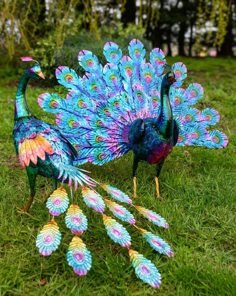 'Argus & Indigo' The Majestic Peacock Garden Sculptures