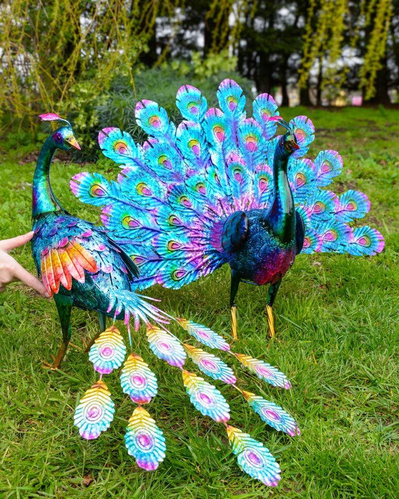 Scale Of 'Argus & Indigo' The Majestic Peacock Garden Sculptures