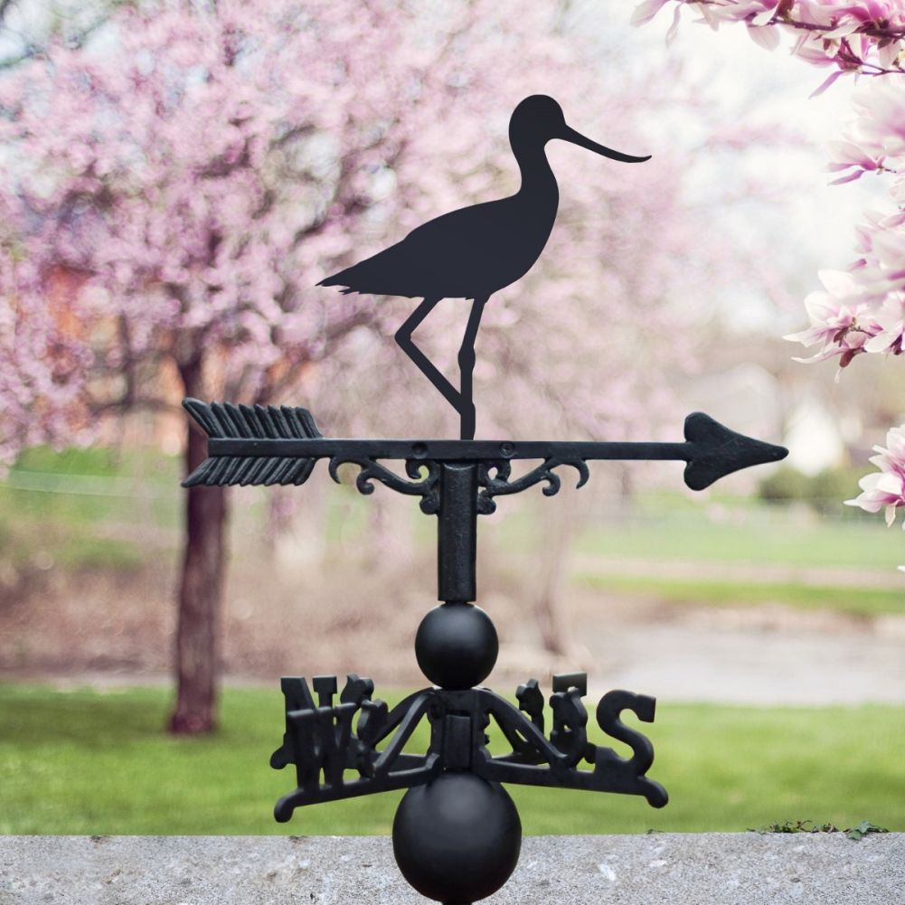 Cast Iron & Steel Avocet Bird  Weathervane on a blossom background