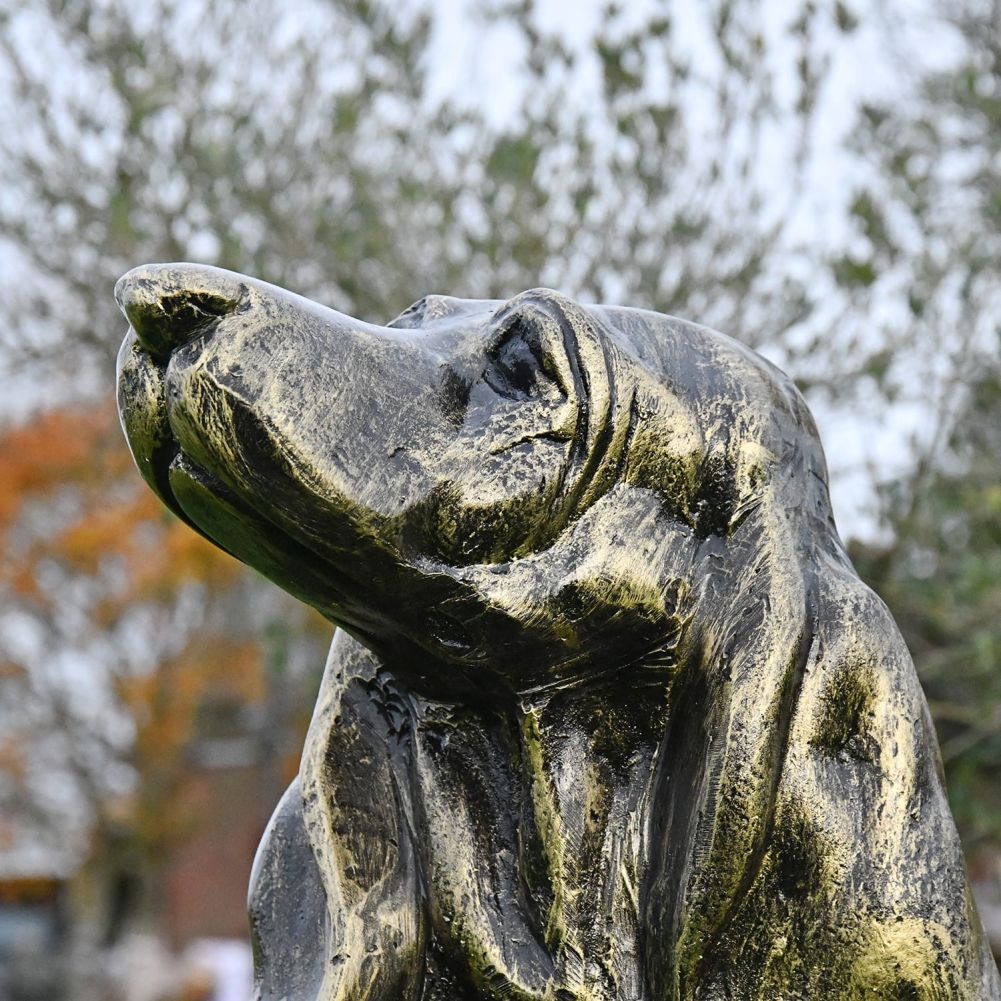 Close-up of the Antique Bronze finish on the Basset Hound Garden Sculpture