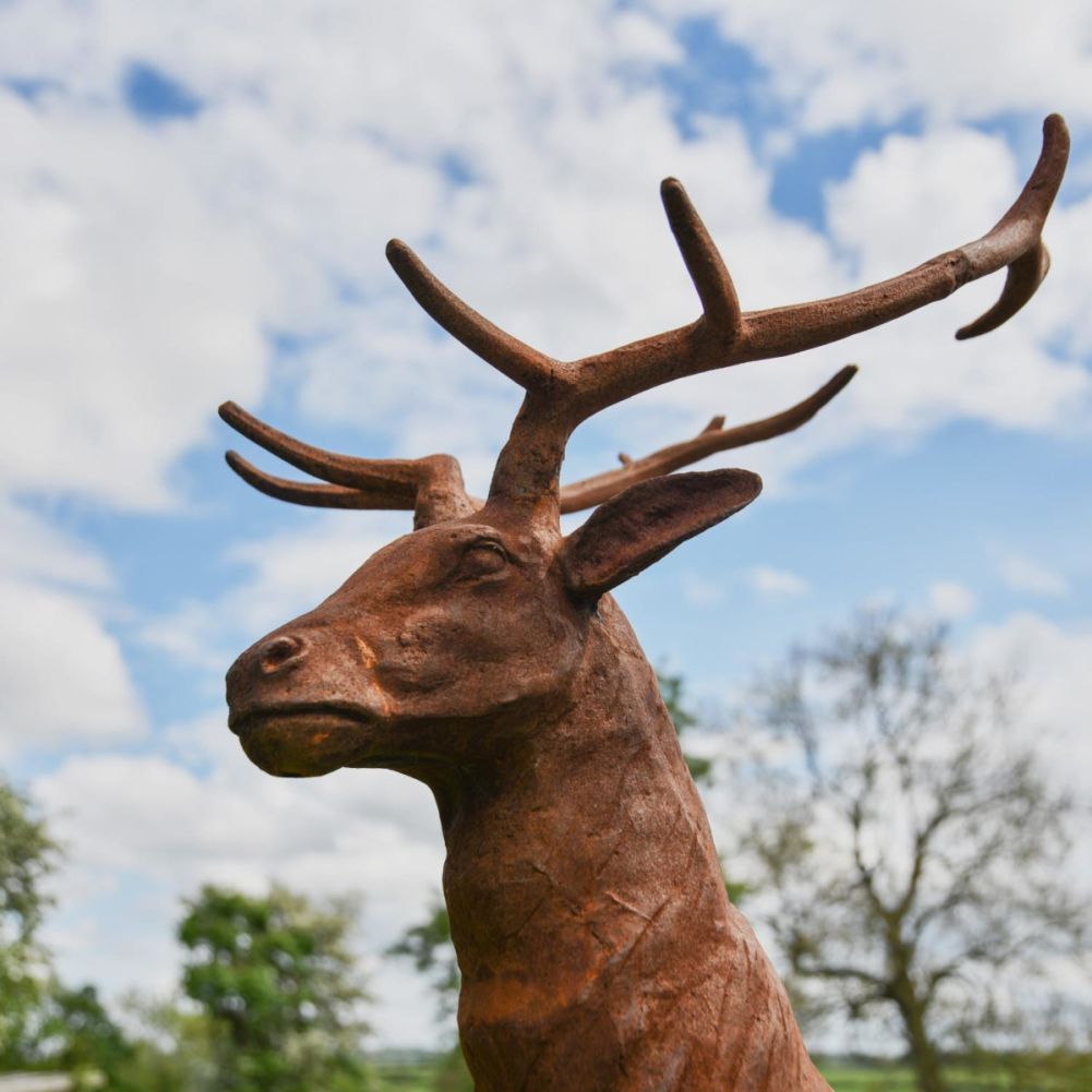 Beautiful Cast Iron Stag Sculpture-Facing Forward Face