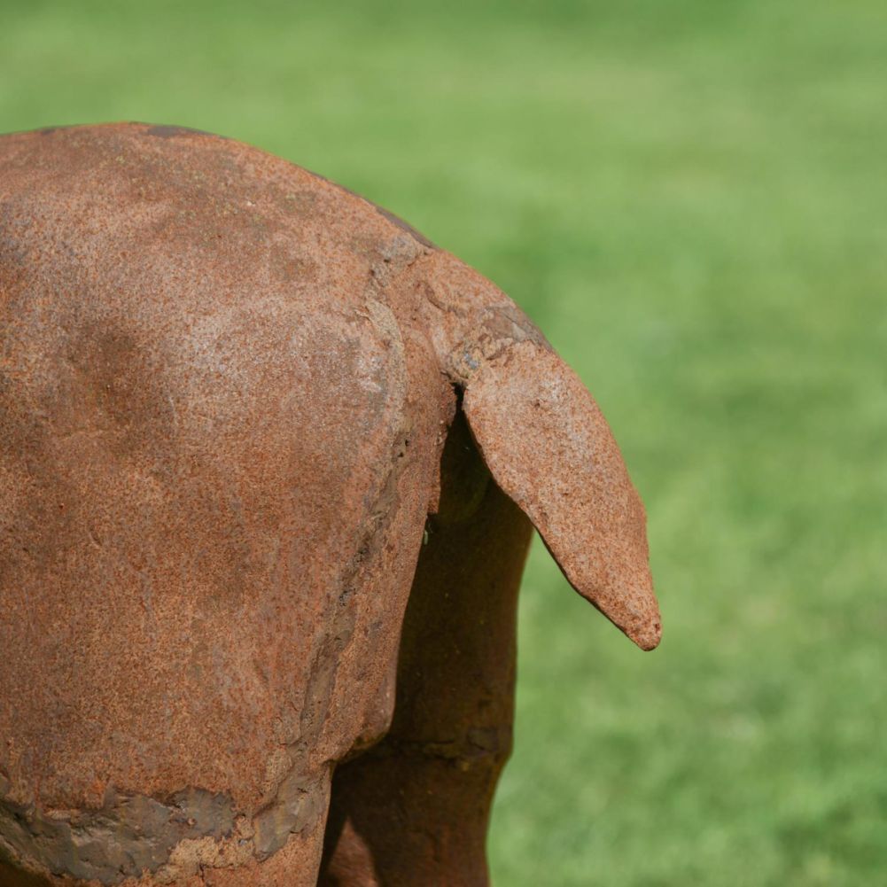Beautiful Cast Iron Stag Sculpture-Facing Forward Tail