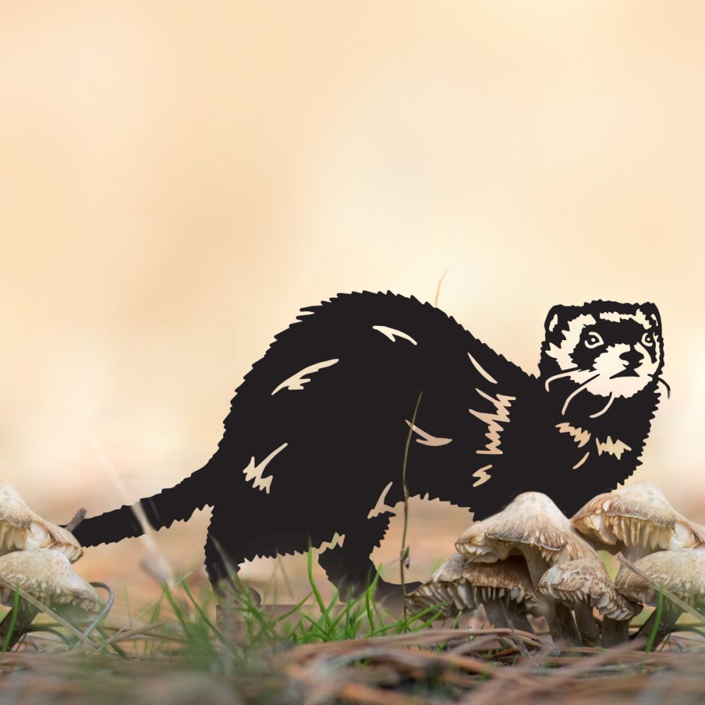 Black Ferret Silhouette