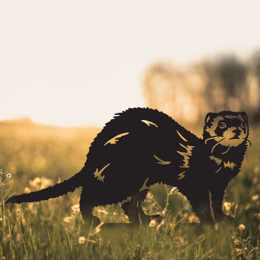 Black Ferret Silhouette
