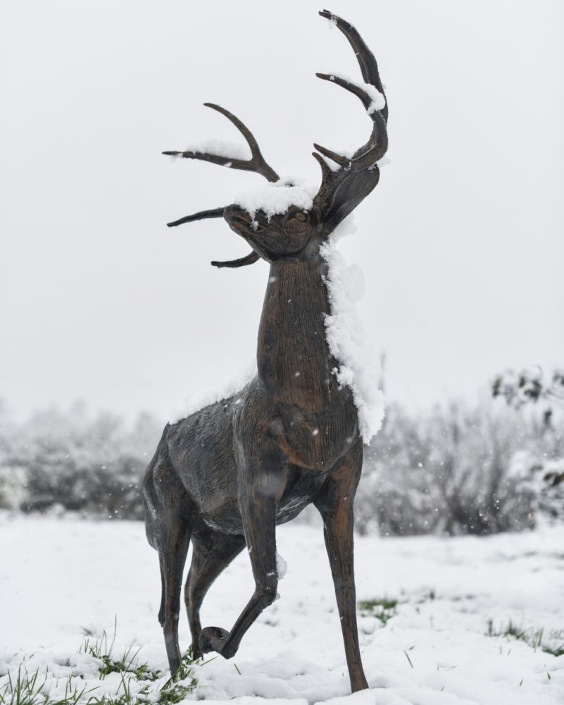 BLACK & GOLD BUCK CLIMBING ON ROCKS GARDEN SCULPTURE In The Snow