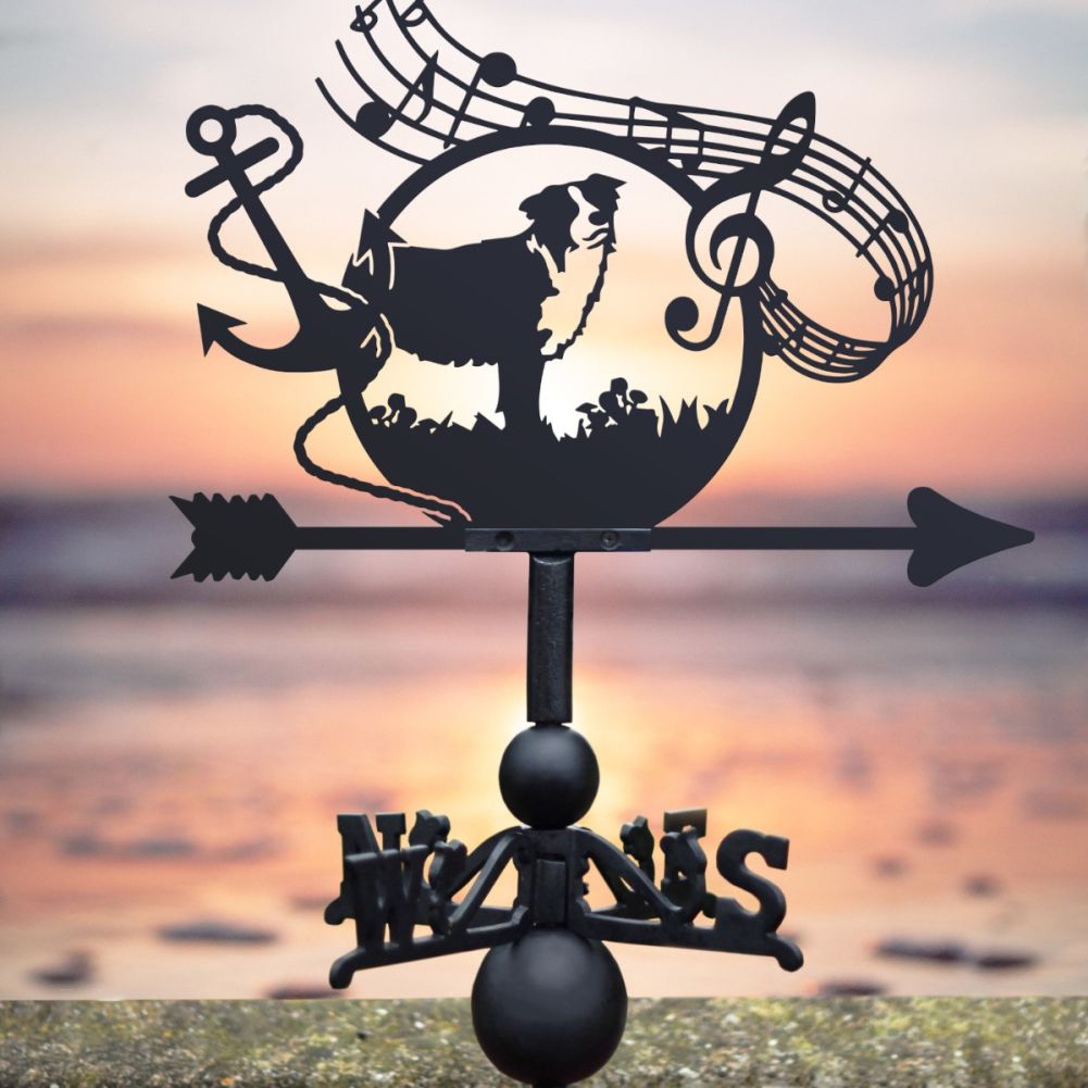 Border Collie Anchor Treble Clef Weathervane in Situ
