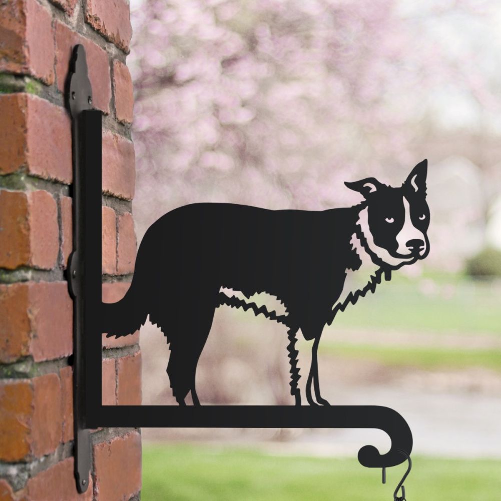 Border Collie Hanging Basket Bracket In A Blossom Setting