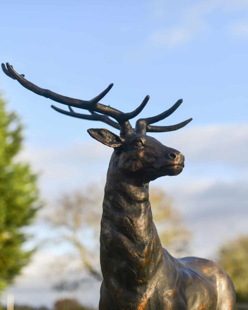 Bramble Antique Bronze Freestanding Stag Garden Sculpture Face