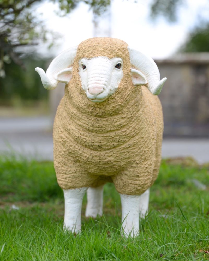'Brawn' The Ram Resin Garden Sculpture Front