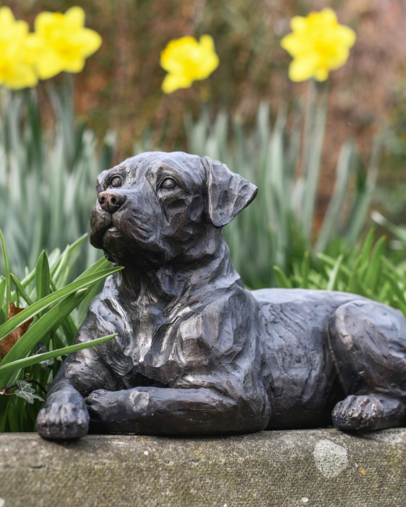 Bronze Effect Resin Laying Labrador Garden Sculpture Close Up