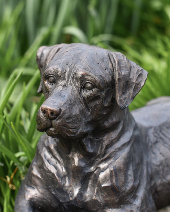 Bronze Effect Resin Laying Labrador Garden Sculpture Close Up