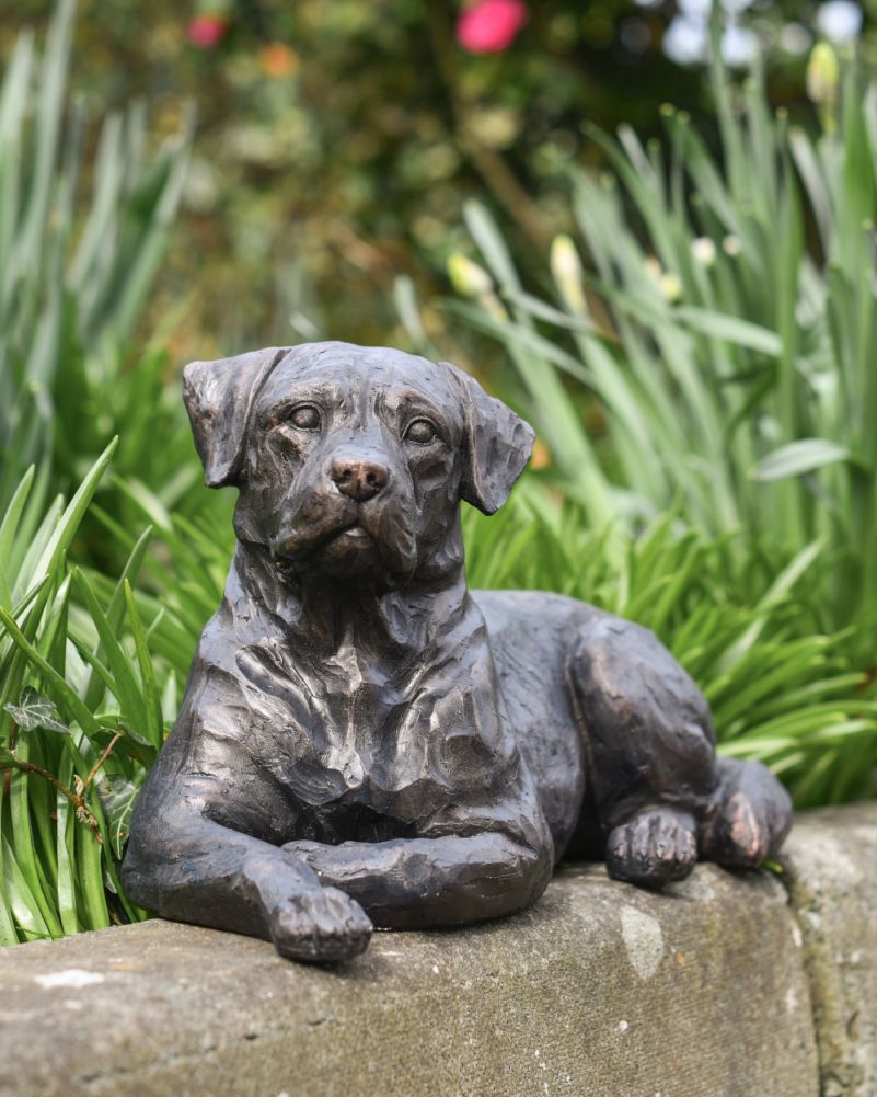 Bronze Effect Resin Laying Labrador Garden Sculpture 