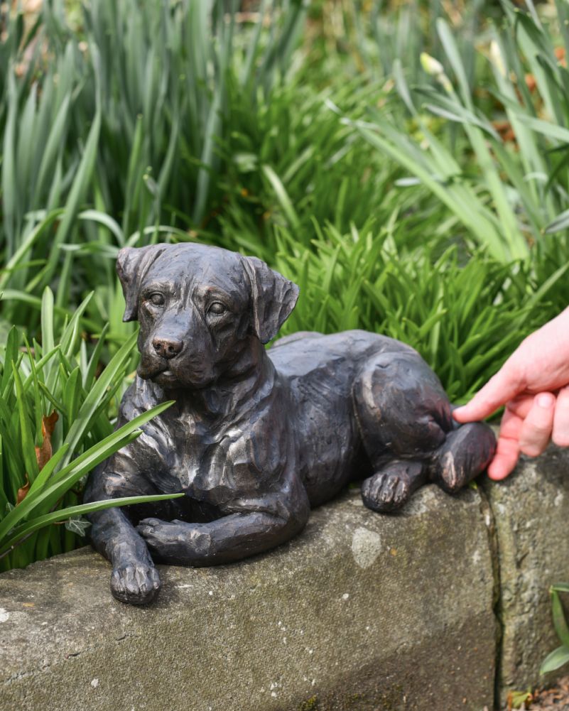 Bronze Effect Resin Laying Labrador Garden Sculpture  To Scale