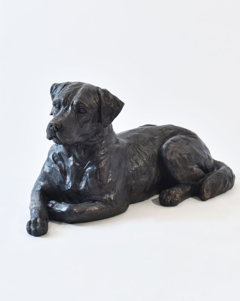 Bronze Effect Resin Laying Labrador Garden Sculpture White Background