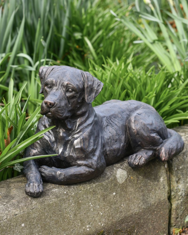 Bronze Effect Resin Laying Labrador Garden Sculpture In A Setting